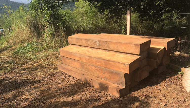 Carga com sete toneladas de madeira nativa da Mata Atlântica é apreendida no sudoeste baiano