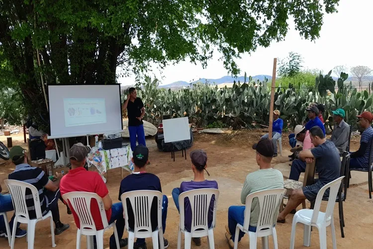 Agricultores recebem capacitação em mecanização agrícola em Malhada de Pedras