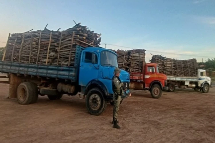 Polícia Ambiental apreende três caminhões com madeira nativa ilegal em Guanambi