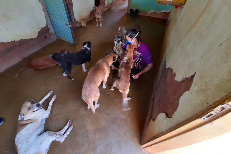 Vigep e AuAu unem forças para vacinar cães retirados das ruas de Brumado