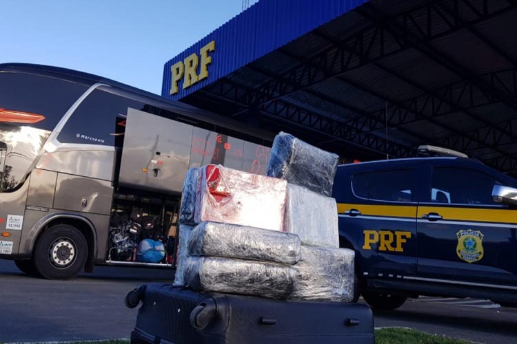 Vitória da Conquista: PRF apreende 27 kg de super maconha na BR-116