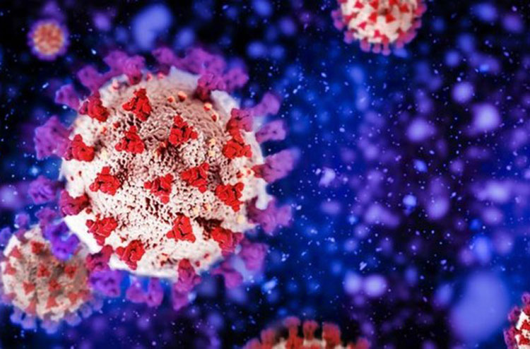 OMS: Próxima variante do coronavírus será mais contagiosa que ômicron
