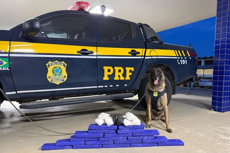 PRF apreende quase 15 kg de drogas em ônibus interestadual em Vitória da Conquista