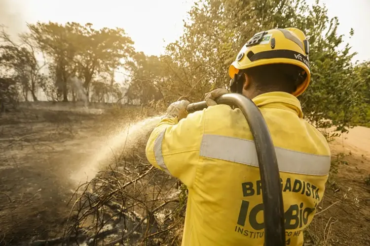 Mais de 17,3 milhões de hectares foram queimados em 2023 no país