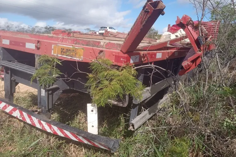 Motorista capota caminhão após desviar de animal solto na BA-142 em Ibicoara