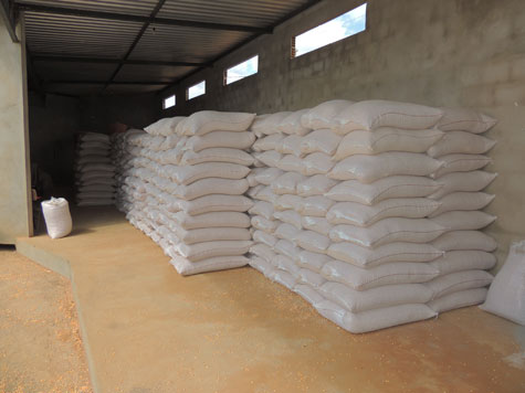 Brumado recebe 80 toneladas de grãos para ração animal