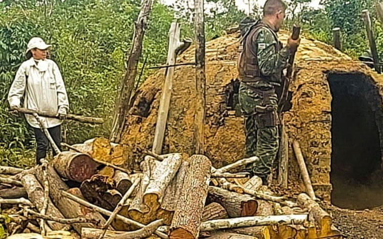 Fornos ilegais são destruídos e madeiras nativas são apreendidas na Chapada Diamantina