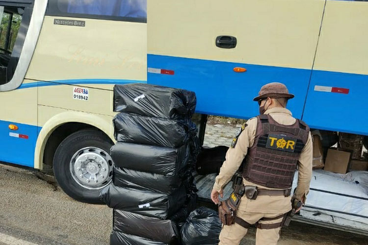 Rio do Antônio: PRE encontra 120 mil unidades de cigarros contrabandeados em ônibus na BR-030