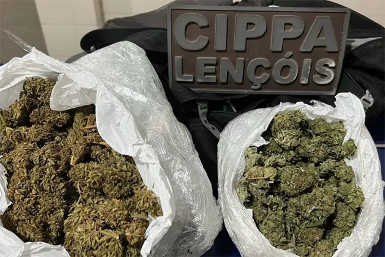 Polícia Ambiental realiza prisão de dupla com 600g de maconha tipo skunk em Ibicoara