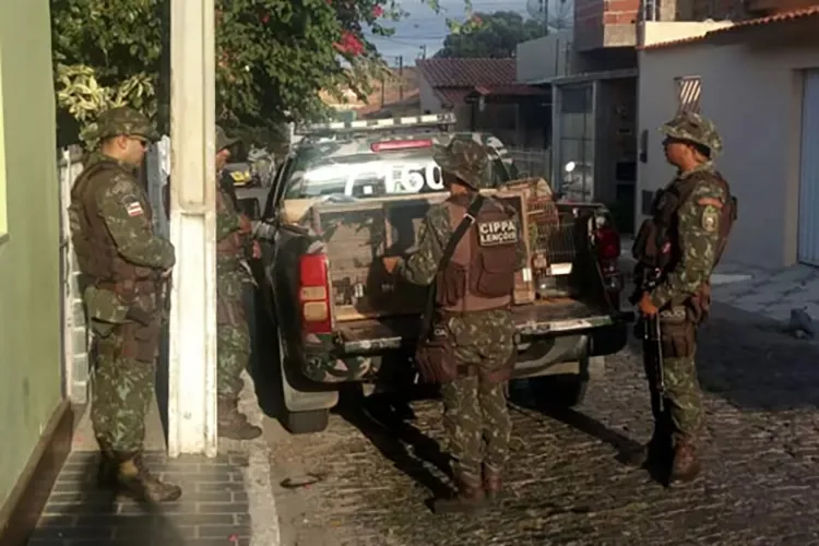 Abaíra: Polícia Ambiental vai intensificar ações de combate a maus-tratos a animais na região