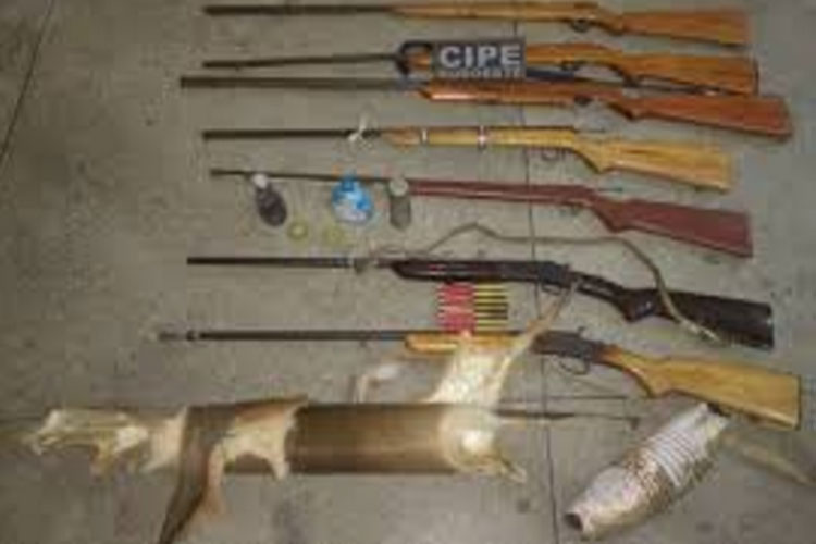 Cipe-Sudoeste apreende armas e peles de animais silvestres em casa abandonada na zona rural de Ituaçu
