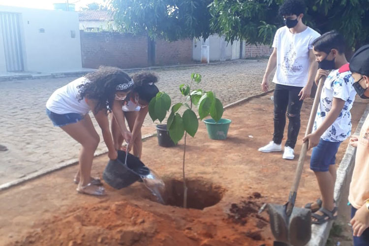 Prefeitura inicia projeto de arborização urbana com plantio de mil mudas em Malhada de Pedras