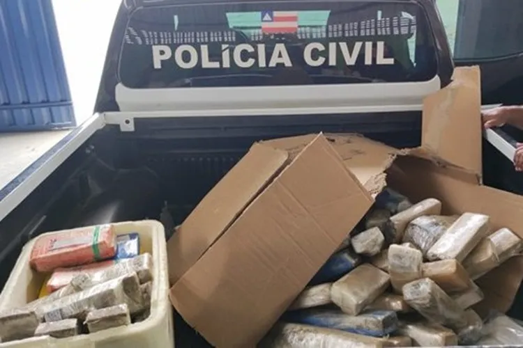 Polícia Civil incinera 85 kg de drogas na cidade de Bom Jesus da Lapa