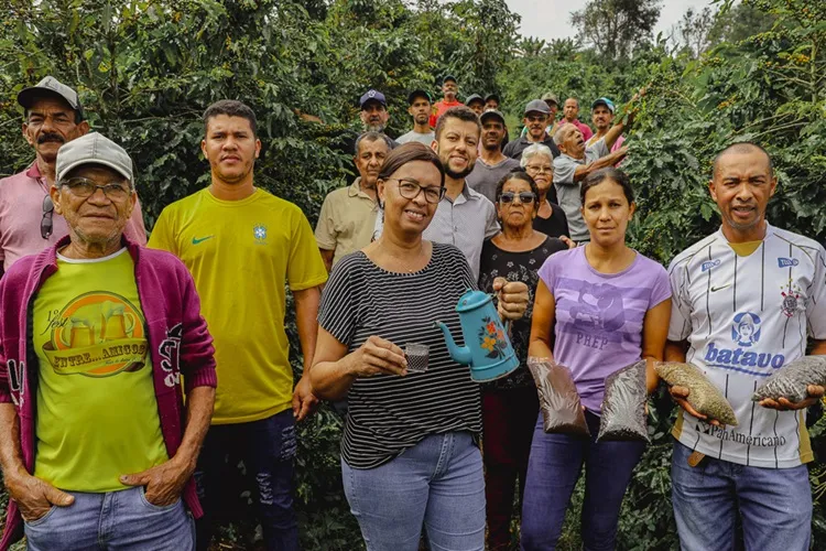 Tecnologias impulsionam qualidade e produtividade do café em Planalto