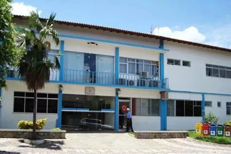 Prefeitura de Brumado dispõe medidas para recolhimento de animais das vias públicas