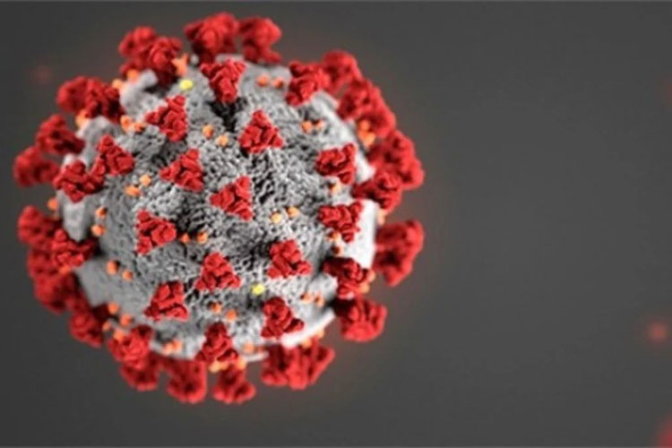 Israel detecta primeiro caso de 'flurona', dupla infecção de Covid-19 e influenza