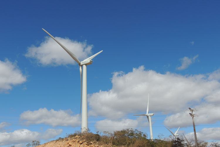 Produção de energia eólica cresce 30% neste ano