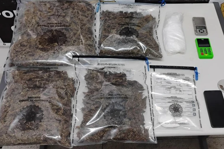 Operação Narke: Porções de maconha e cocaína são apreendidas em Jequié