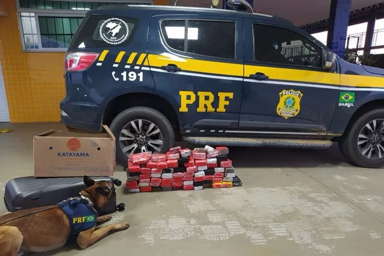 PRF localiza cerca de 57 kg de maconha em bagagens na BR-116 em Encruzilhada