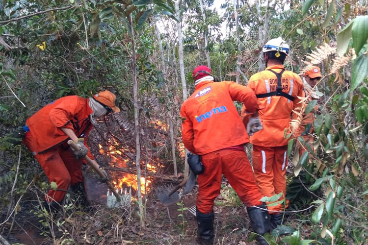 Chapada Diamantina: Cinco dias após incêndio, brigadistas tentam controlar fogo na Serra da Tromba