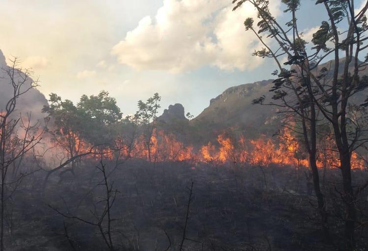 Piatã: Incêndio atinge Vale dos Três Morros e destrói vegetação na Chapada Diamantina