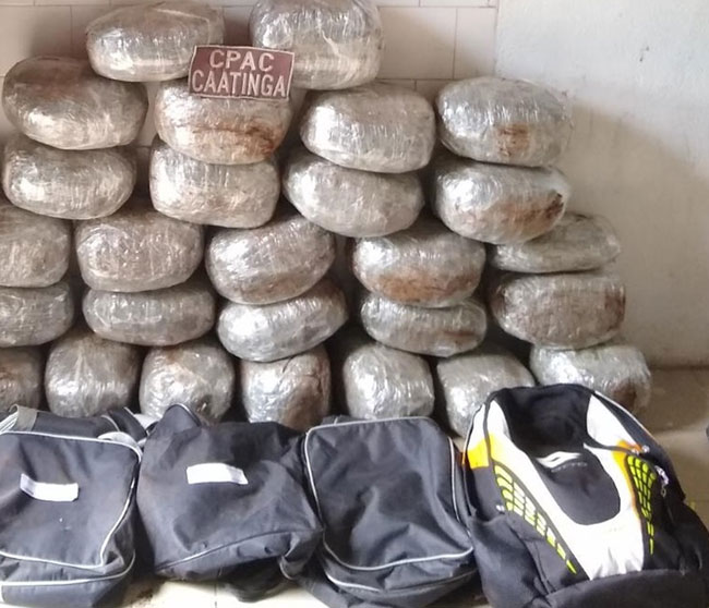 Mulher é presa em ônibus com 28 kg de maconha em mochilas