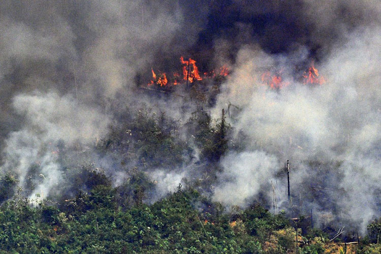 2019 é o pior ano de queimadas na Amazônia desde 2010, diz Nasa