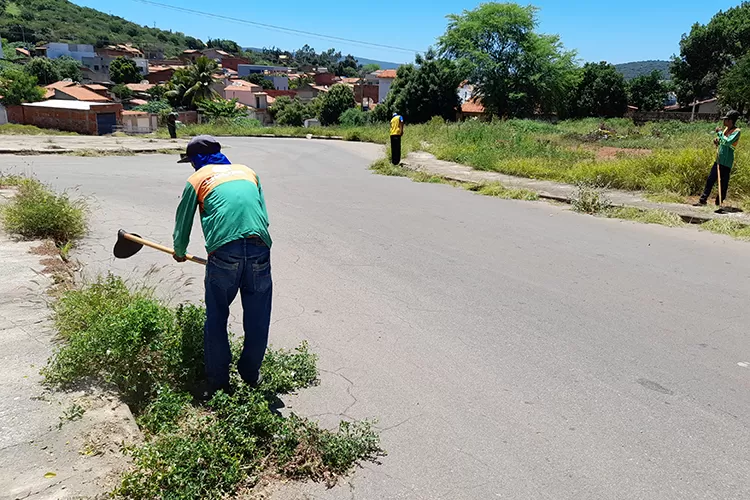 Prefeitura retoma serviço de capina e cobra conscientização popular em Brumado