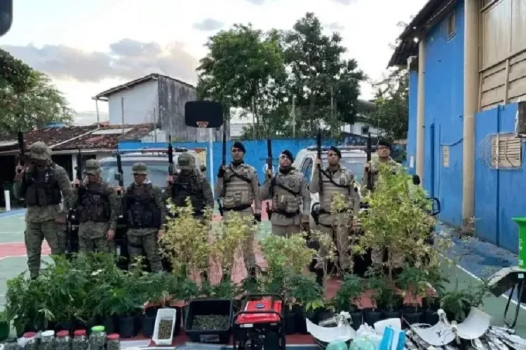 Polícia Militar desmonta laboratório de maconha mantido por produtor musical em Itacaré