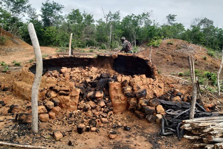 Polícia destrói carvoarias ilegais e encontra área desmatada de 10 mil m² na Chapada Diamantina