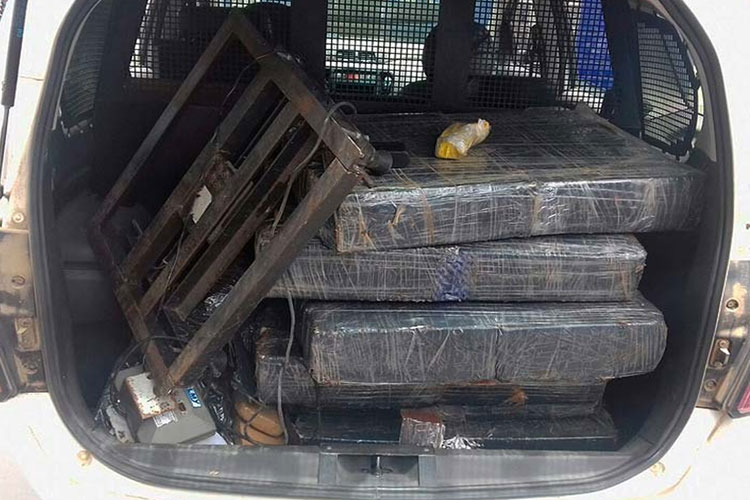 Após denúncia, polícia apreende cerca de 160kg de drogas dentro de imóvel em Santo Estevão