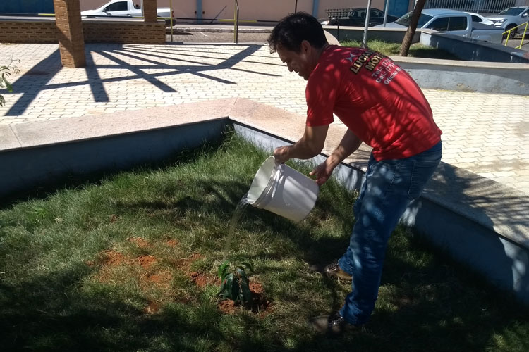 Adotada por populares, Praça Pompílio Leite está se tornando um pomar no centro de Brumado