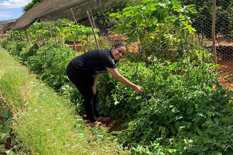 Mulheres da zona rural de Pindaí melhoram renda com a produção de hortaliças e frutíferas