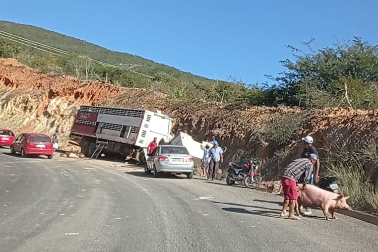 Caminhão carregado de animais tomba na BA-148 em Rio de Contas