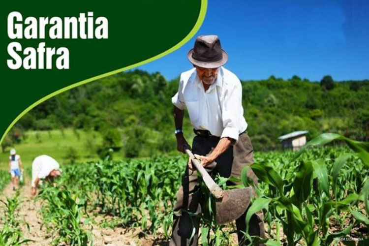 Garantia-Safra será pago aos agricultores de Brumado será pago no mês de abril