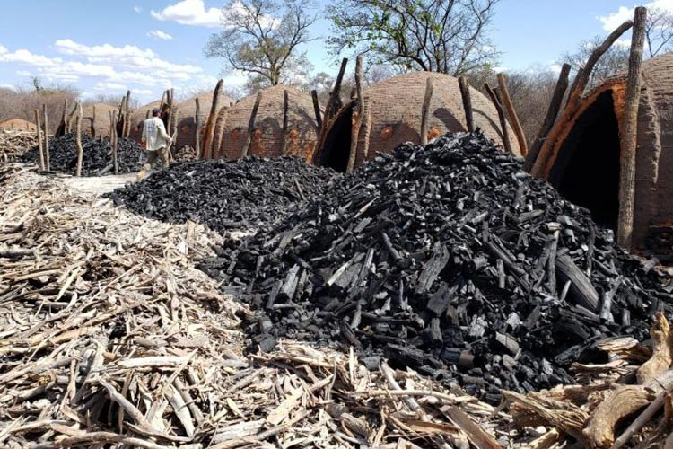 Segunda operação do Inema destrói mais fornos de carvão na região de Guanambi