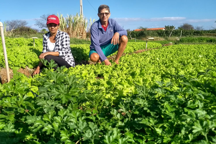 Brumado: Pedal na Roça registra prosperidade de horta da agricultura familiar na região de Itaquaraí