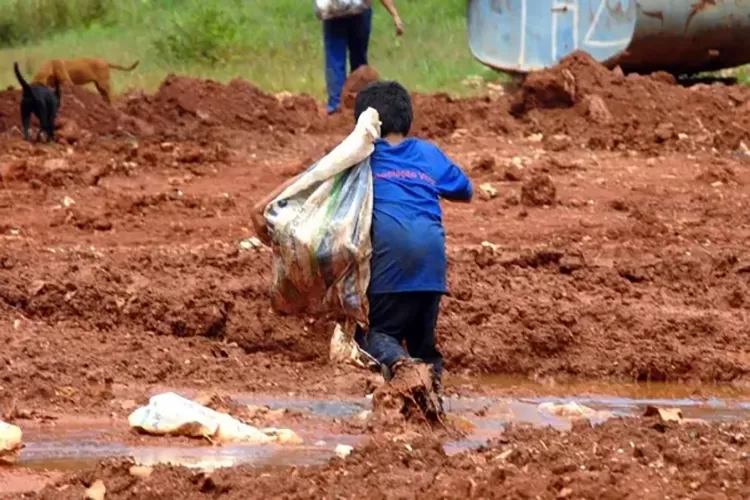 Brasil resgata mais de 700 crianças do trabalho infantil este ano