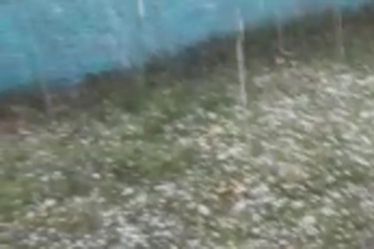 Brumado: Chuva de granizo é registrada na comunidade de Queimada Grande
