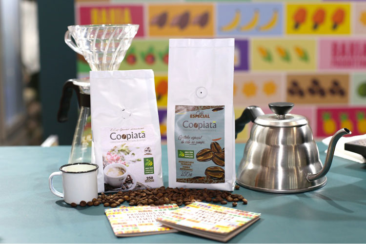 Qualidade do café produzido por famílias agricultoras da Chapada Diamantina garante preços acima do mercado