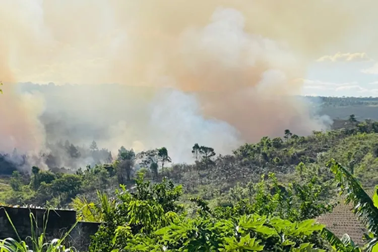 Incêndio de grandes proporções atinge área de mata na cidade de Ibicoara
