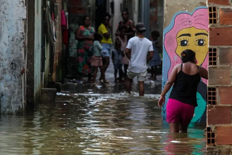 Bahia tem 52 casos de leptospirose em 2024 após fortes chuvas