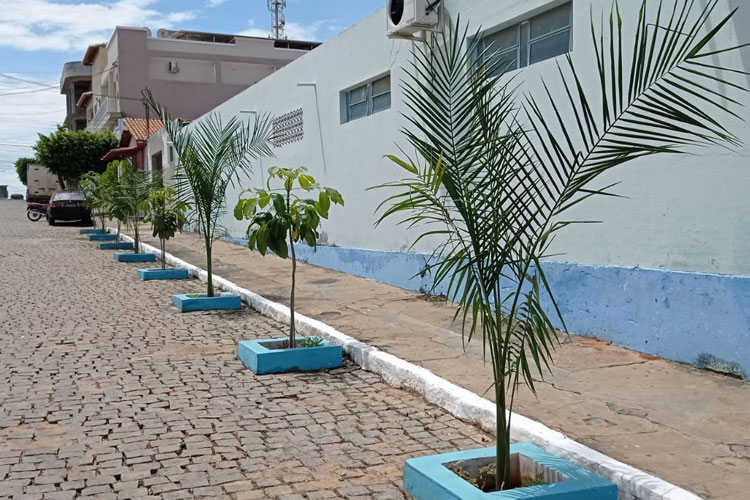 Com apoio da RHI Magnesita, Malhada de Pedras revitaliza praças com plantio de árvores nativas