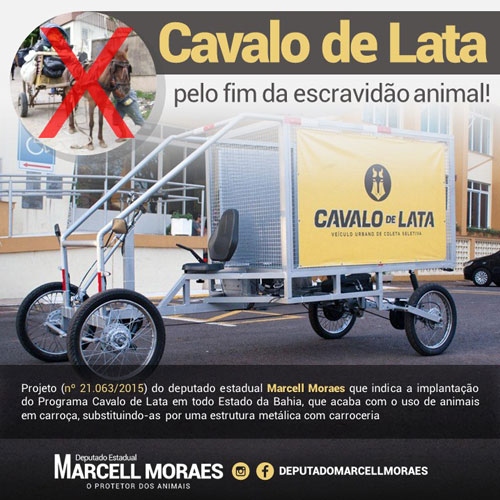 Deputado Marcell Moraes quer substituir uso de animais em carroças