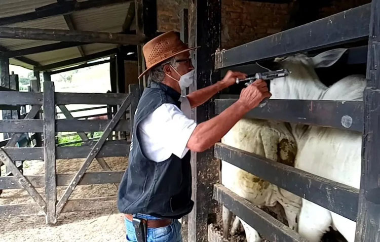 Adab abre seleção para engenheiro agrônomo, veterinário e outras vagas