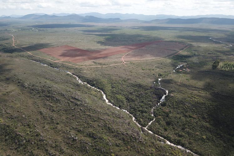 Piatã: MP recomenda cancelar autorização de supressão de vegetação nativa em fazenda do agronegócio