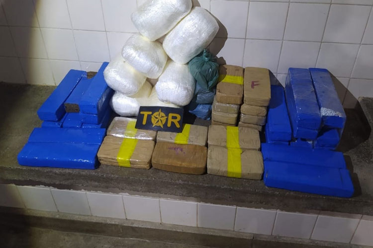 Brumado: Polícia Rodoviária Estadual apreende 43 kg de drogas em ônibus clandestino na BA-262