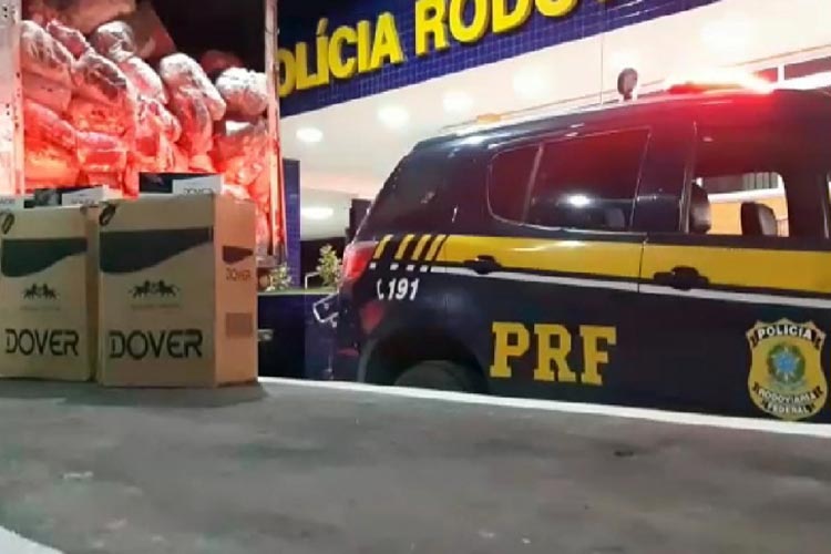 Vitória da Conquista: PRF apreende carga de cigarros contrabandeados avaliada em R$ 2 milhões
