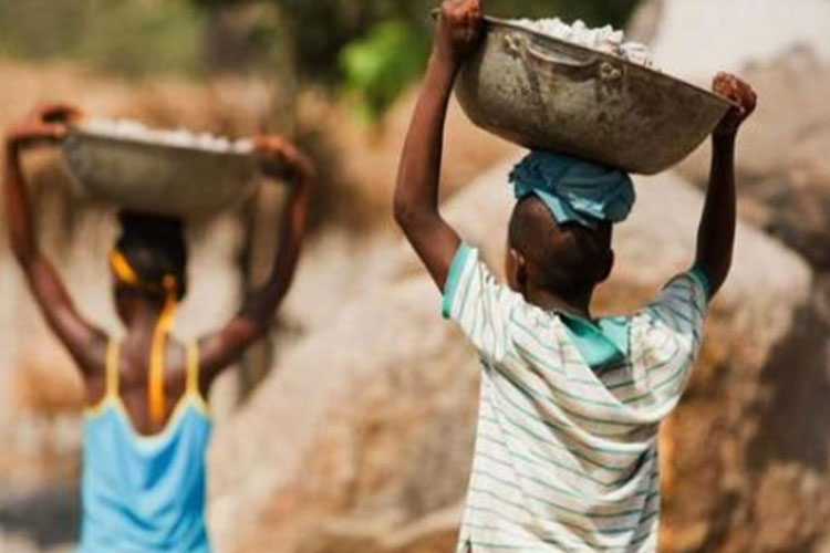 MPT reforça combate ao trabalho infanto-juvenil nas regiões de Vitória da Conquista e Brumado