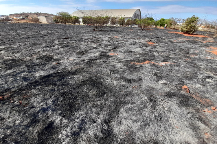 Brumado: Polícia investiga se incêndio no Ifba foi acidental ou de origem criminosa